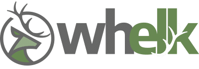 Whelk